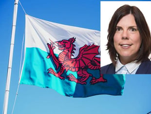 Calls for St David’s Day Bank Holiday knocked back over fluid border