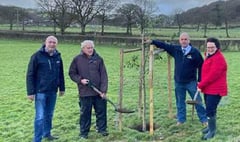 Elin supports scheme to plant more trees on farms