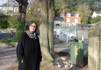 'Hit squads' to target some of county’s tattiest streets