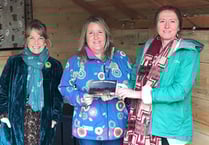 Christmas card photo competition winner named