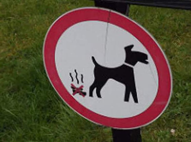 Vow to crack down on 'reckless and selfish' dog owners