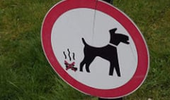 Calls for dog fouling offenders to be named and shamed in local papers and on Facebook