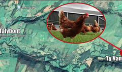 Plan for big chicken farm is resubmitted to council