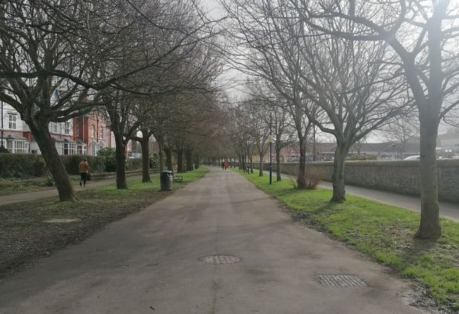 Plascrug Avenue in Aberystwyth