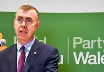 Plaid Cymru must 'detoxify' following damning report