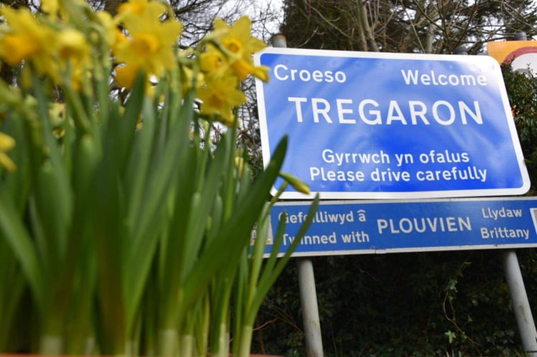 Dros y misoedd nesaf, bydd y cyngor Ceredigion yn gweithio’n agos â thîm yr Eisteddfod Genedlaethol i sicrhau gŵyl fywiog yn Nhregaron
