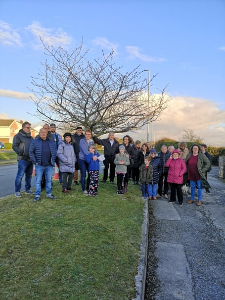 Cheery tree waunfawr