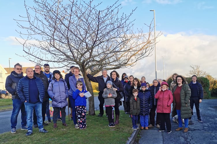 Waunfawr residents by tree