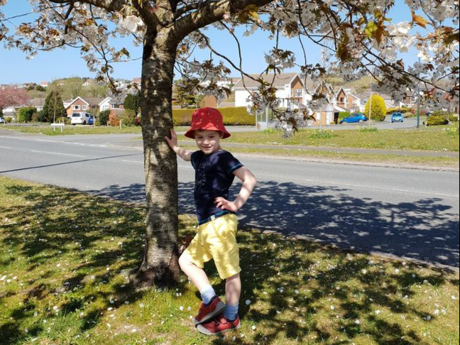 Young boy next to the tree