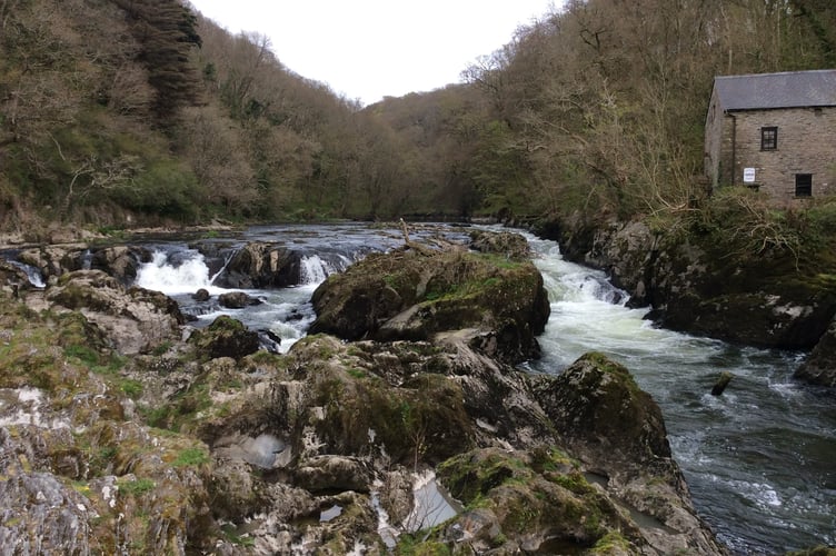 Teifi River