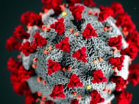 Two coronavirus deaths recorded in Ceredigion