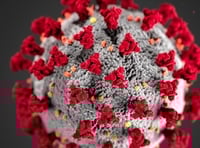 Public Health Wales monitoring mutated Covid-19 virus