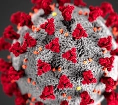 Public Health Wales monitoring mutated Covid-19 virus