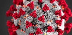 Public Health Wales monitoring mutated Covid-19 virus