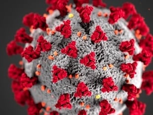 Public Health Wales monitoring mutated Covid-19 virus
