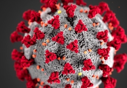 Public Health Wales monitoring mutated Covid-19 virus