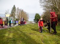 Pupils help plant trees as part of university project