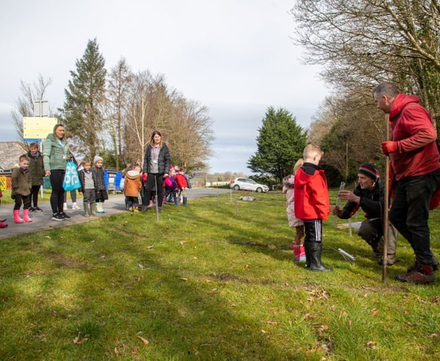 Pupils help plant trees as part of university project