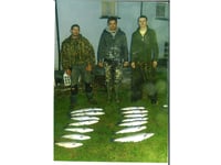 Eight admit running 20 year poaching operation on the Teifi