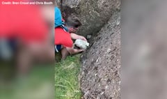 Walkers reunite trapped lamb with its mother