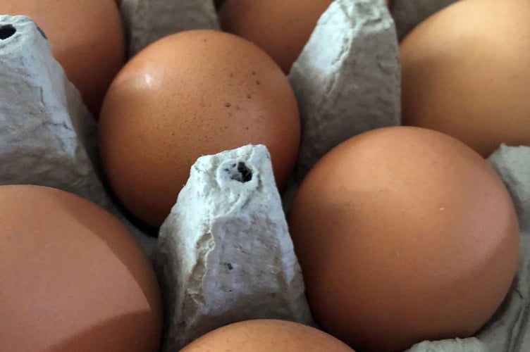THE next stage in the development of a 16,000 hen, egg laying unit near Caersws has been given the green light
