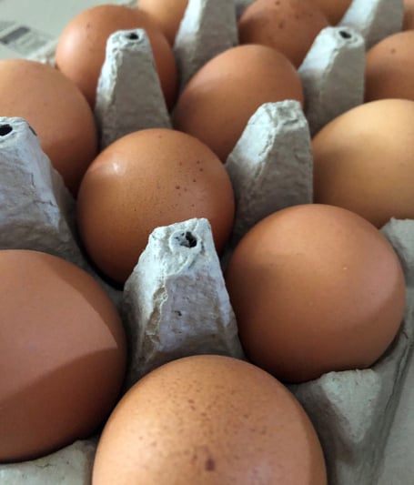 THE next stage in the development of a 16,000 hen, egg laying unit near Caersws has been given the green light