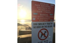 Summer beach dog ban begins