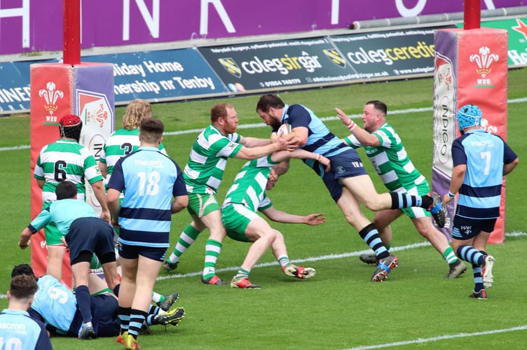 WRU Scarlets Region plate Final 2022