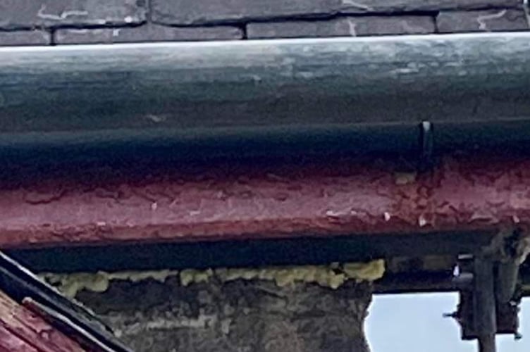 Residents say holes have been filled in and birds and bats cannot access the building