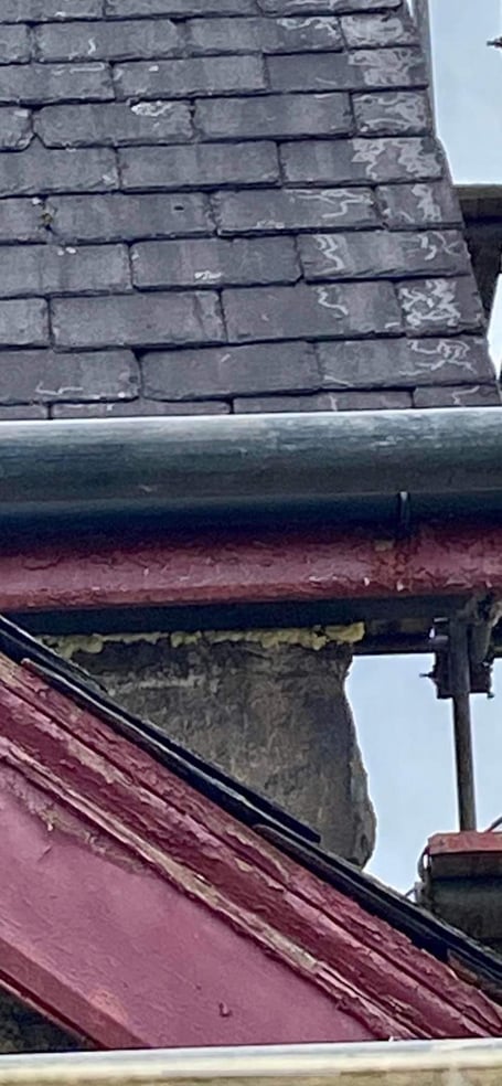 Residents say holes have been filled in and birds and bats cannot access the building