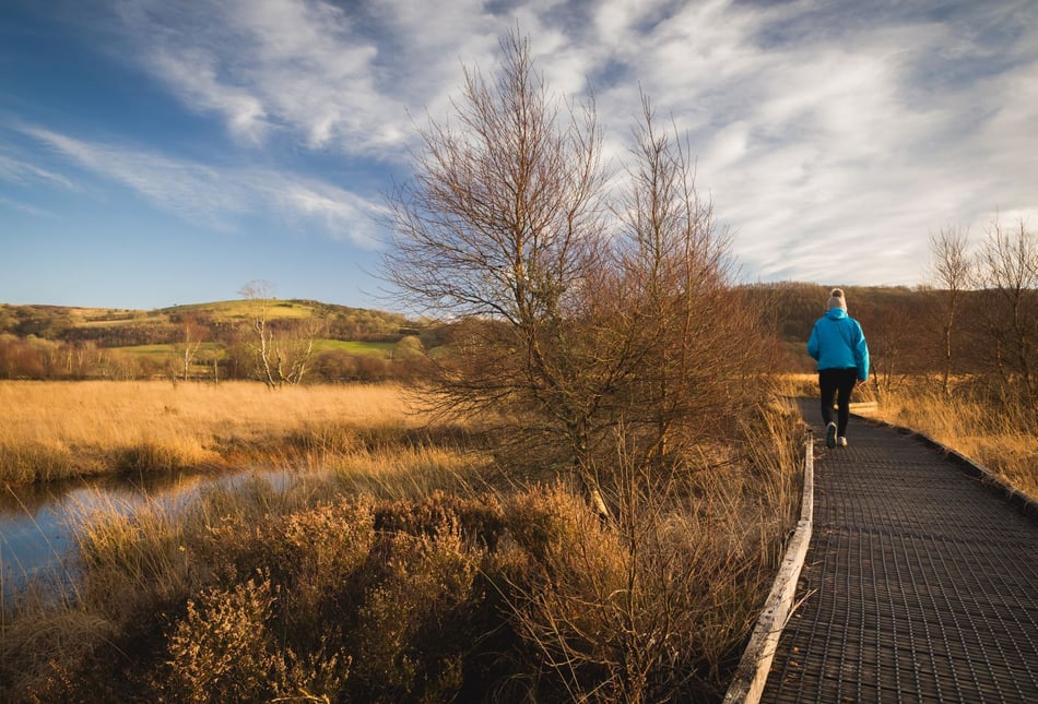 How restoring Wales’ bogs is improving water and wildfire security