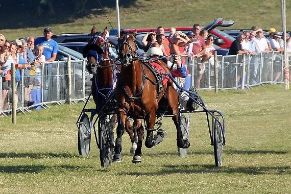 Harness racing returns to Tregaron on Sunday