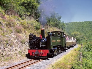 Vale of Rheidol in talks to acquire another mid Wales railway