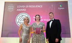 Covid-19 award for county distillery