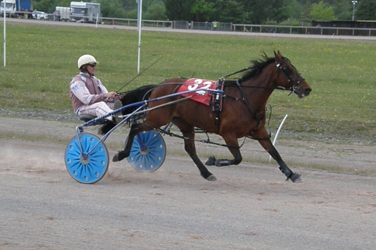 WALES & BORDER COUNTIES HARNESS RACING