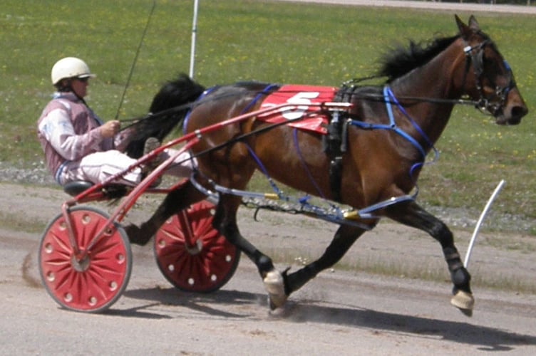 WALES & BORDER COUNTIES HARNESS RACING