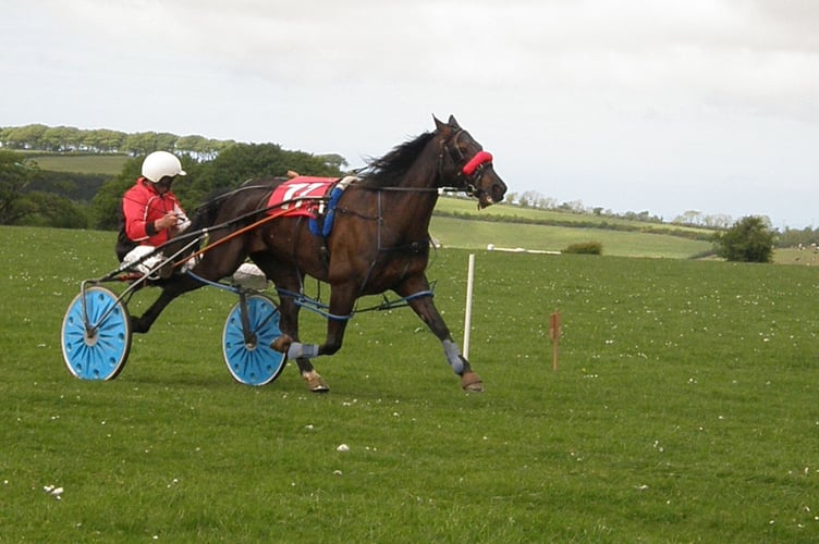 Wales & Borders Harness Racing Synod Inn 2022