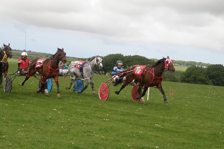 Wales & Borders Harness Racing Synod Inn 2022