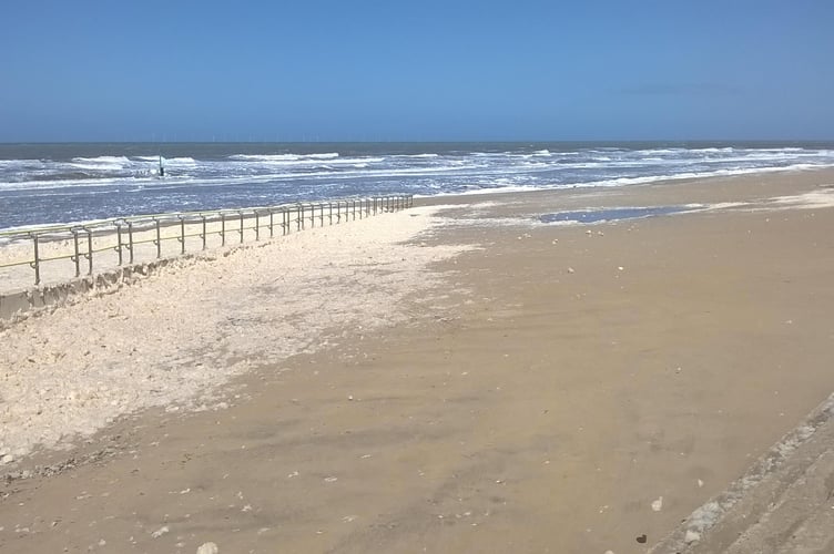 Sea algae
