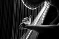Shock closure of Llandysul harp business