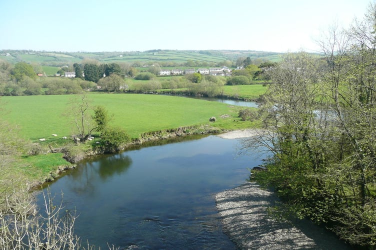 Afon Teifi
