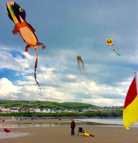 Borth Amnesty Group held its first kite festival on the beach