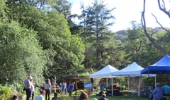 Free festival to celebrate ancient woodland