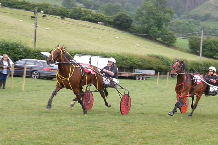 Wales & Borders Harness Racing Easy Company won the Grade A final ahead of George Gentle 19/06/22