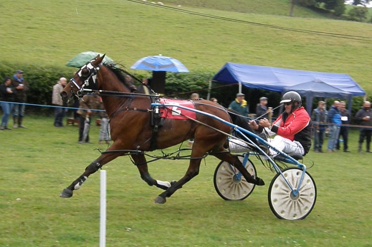 Novice winner Immortal Storm Wales Borders Harness racing.jpg
