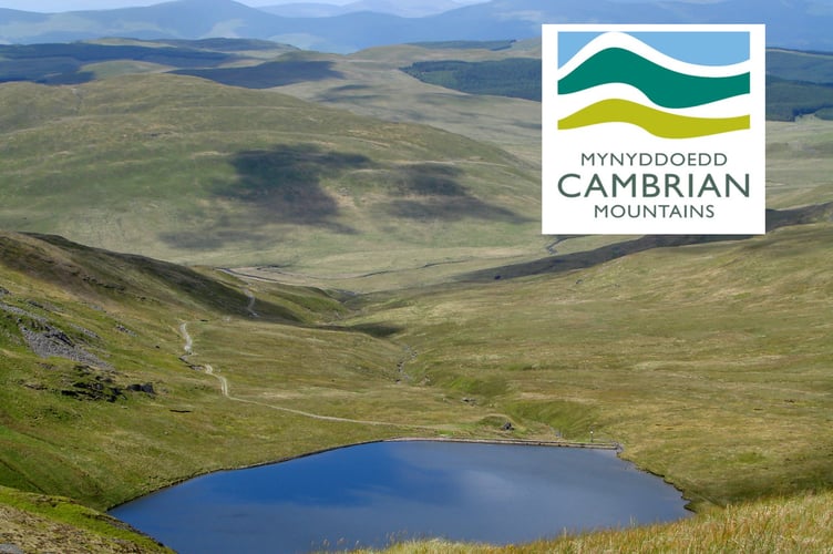 Cambrian Mountains