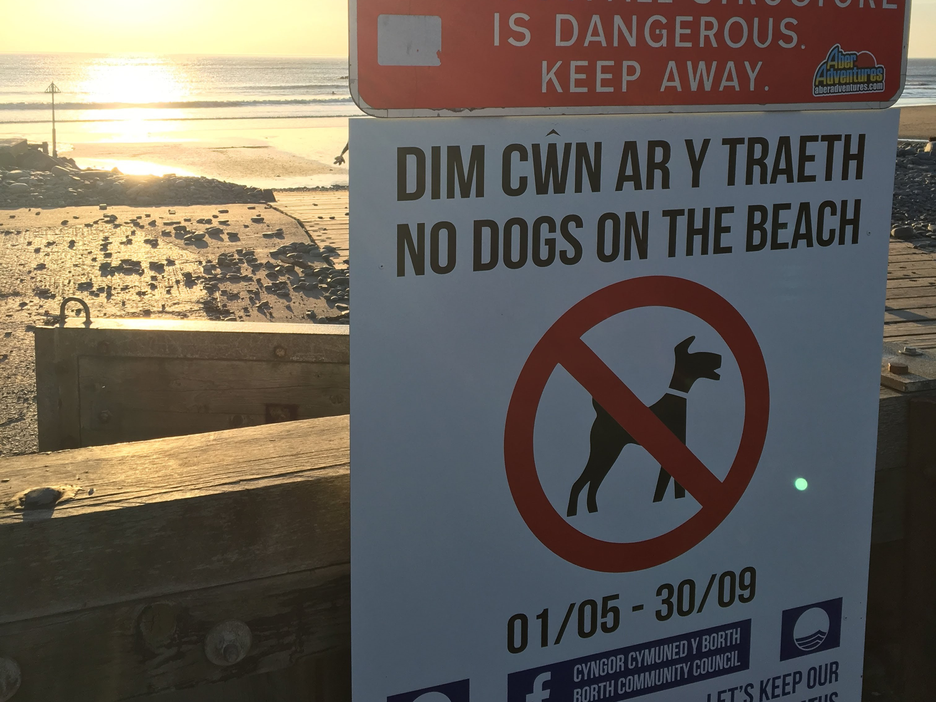 Summer dog beach ban comes into effect