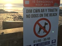 Summer dog beach ban comes into effect
