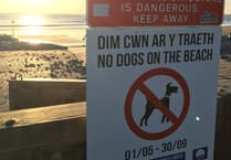 Summer dog beach ban comes into effect