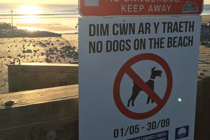 Dogs are allowed on borth beach in summer